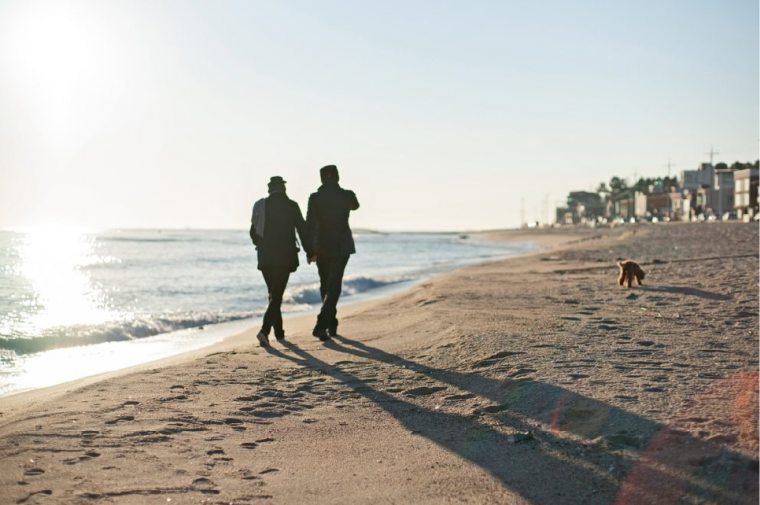 浜辺を散歩する犬と人
